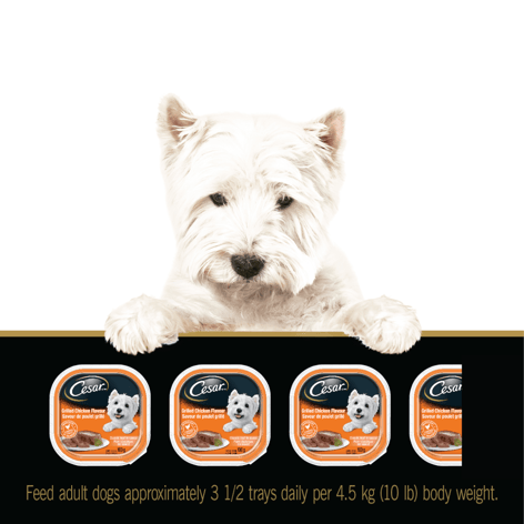 CESAR® Classic loaf in sauce Wet Dog Food, Chicken Lovers Variety Pack, 24x100g image 1