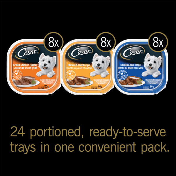 CESAR® Classic loaf in sauce Wet Dog Food, Chicken Lovers Variety Pack, 24x100g image 2