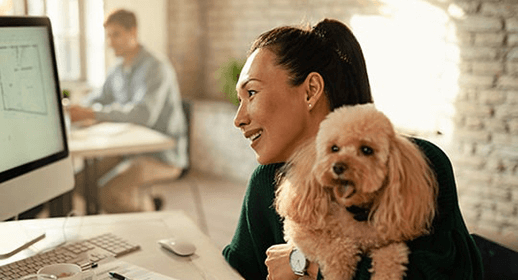 poodle-at-desk-with-woman_0.png
