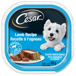 CESAR® Classic loaf in sauce Wet Dog Food, Lamb Recipe image