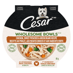 CESAR® WHOLESOME BOWLS™ Wet Dog Food, Chicken, Sweet Potatoes & Green Beans Recipe image