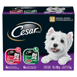 CESAR® Filets In sauce Wet Dog Food Roasted Turkey Flavour and Prime Rib Flavour Variety Pack image