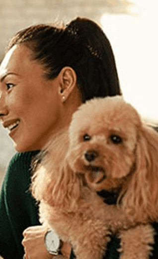 /sites/g/files/fnmzdf4601/files/2023-11/poodle-at-desk-with-woman_0.png