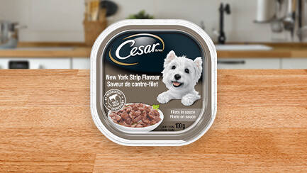 CESAR® Filets in Sauce Adult Tray