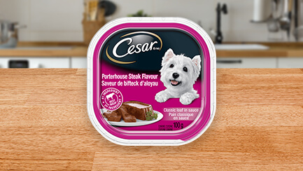 CESAR® Classic Loaf in Sauce