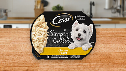 CESAR® Simply Crafted™ Toppers
