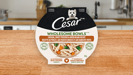 CESAR® Wholesome Bowls™