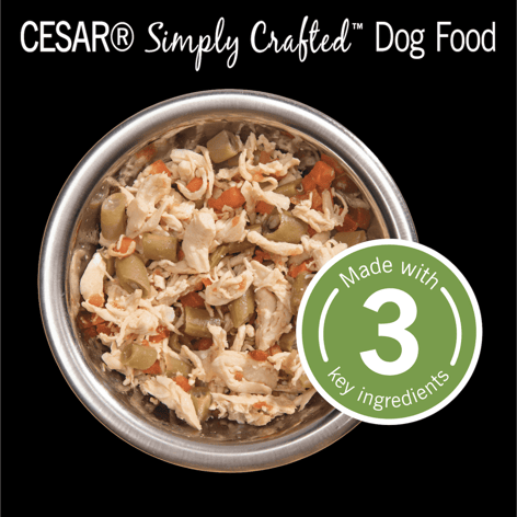CESAR® SIMPLY CRAFTED™ Wet Dog Food, Chicken, Carrots & Green Beans image 1
