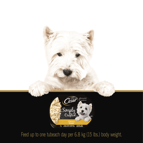 CESAR® SIMPLY CRAFTED™ Wet Dog Food, Chicken image 1