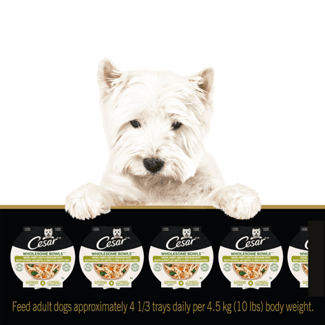 CESAR® WHOLESOME BOWLS™ Wet Dog Food, Chicken, Carrots, Barley & Green Beans Recipe image 1