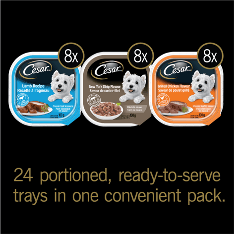 CESAR® Classic loaf in sauce and Filets in Sauce Wet Dog Food Variety Pack, 24x100g image 1