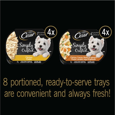 CESAR® SIMPLY CRAFTED™ Wet Dog Food, Chicken and Chicken, Carrots, Barley & Spinach Variety Pack image 1