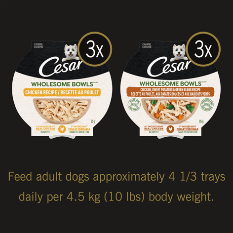 CESAR® WHOLESOME BOWLS™ Wet Dog Food, Chicken Recipe and Chicken, Sweet Potatoes & Green Beans Recipe Variety Pack image 1