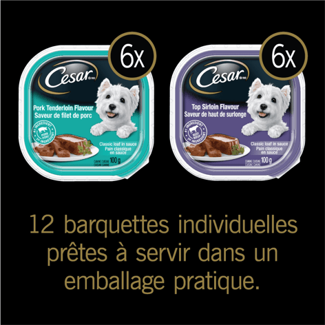 Nourriture humide pour chiens adultes CESAR(MD) pain classique en sauce en format variété – saveur de haut de surlonge et saveur de filet de porc image 1
