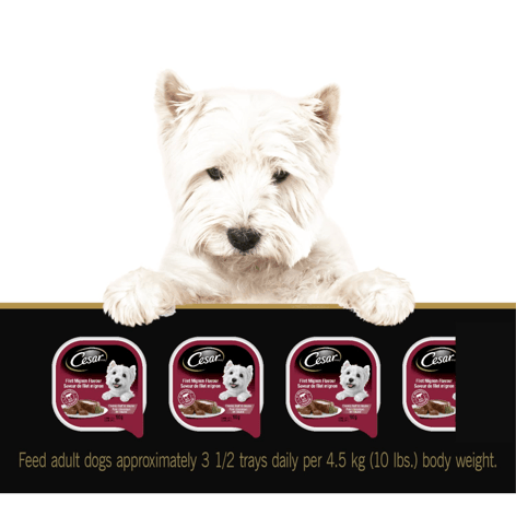 CESAR® Classic loaf in sauce Wet Dog Food, Filet Mignon Flavour, Chicken & Liver Recipe Variety Pack image 1