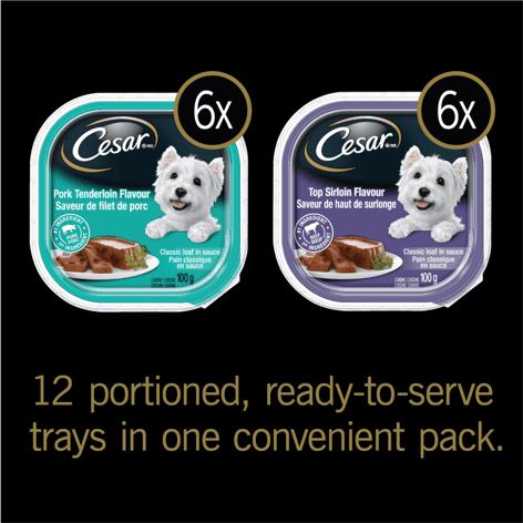 CESAR® Classic loaf in sauce Wet Dog Food, Top Sirloin Flavour, Pork Tenderloin Flavour Variety Pack image 1