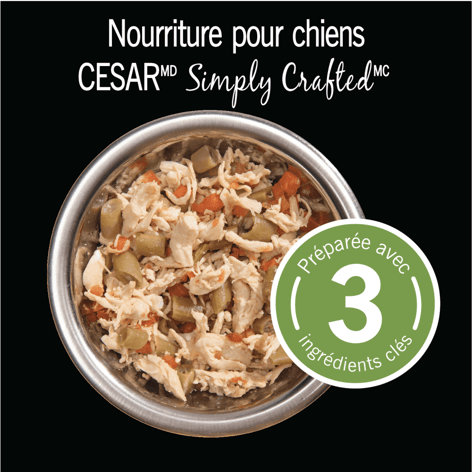 Nourriture humide pour chiens adultes CESAR(MD) SIMPLY CRAFTED(MC) poulet, carottes et haricots verts image 1