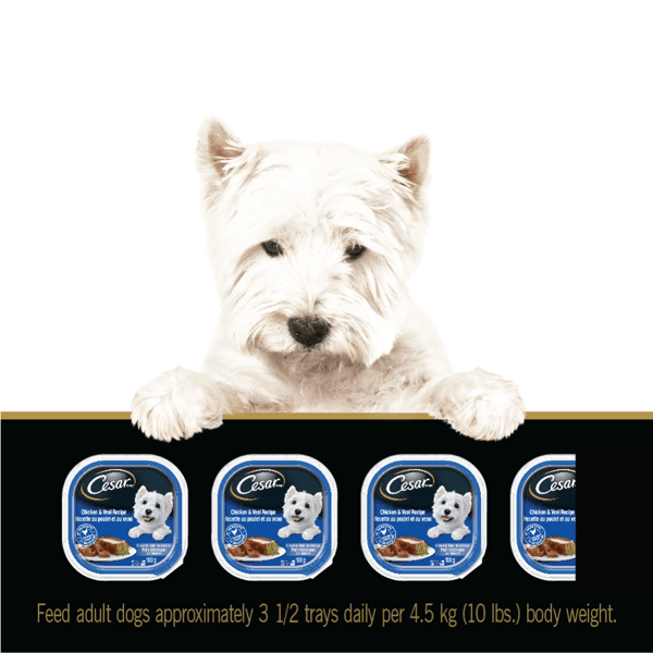CESAR® Classic loaf in sauce Wet Dog Food, Chicken & Veal Recipe image 2
