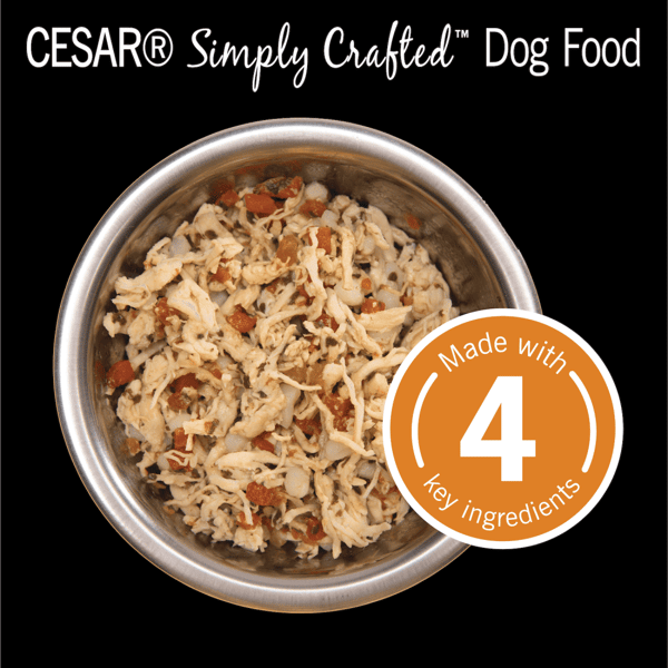 CESAR® SIMPLY CRAFTED™ Wet Dog Food, Chicken, Carrots, Barley & Spinach image 2