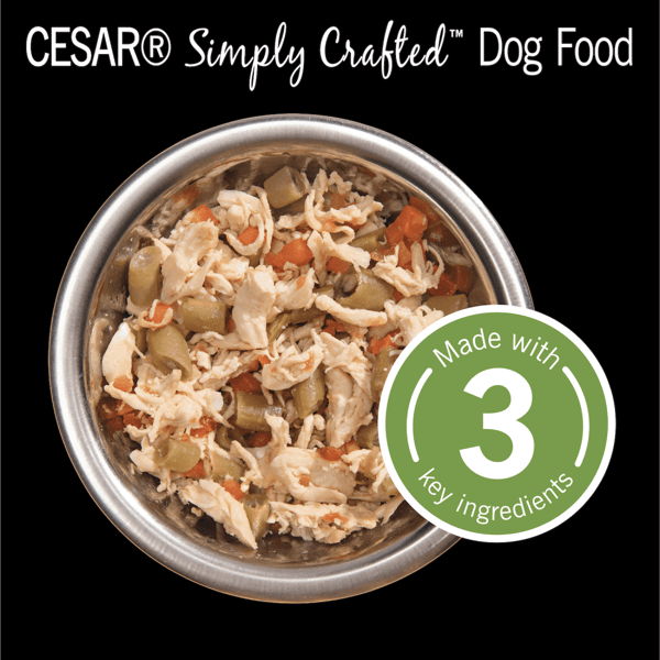 CESAR® SIMPLY CRAFTED™ Wet Dog Food, Chicken, Carrots & Green Beans image 2