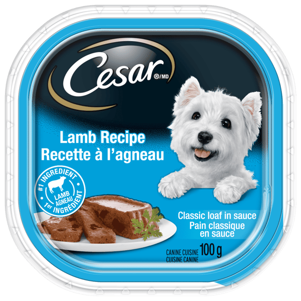 CESAR® Classic loaf in sauce Wet Dog Food, Lamb Recipe image 1