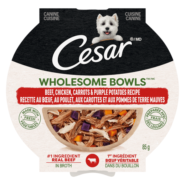 CESAR® WHOLESOME BOWLS™ Wet Dog Food, Beef, Chicken, Carrots & Purple Potatoes Recipe image 1