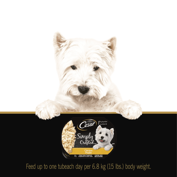 CESAR® SIMPLY CRAFTED™ Wet Dog Food, Chicken image 4