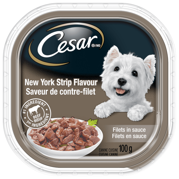 CESAR® Filets in Sauce Wet Dog Food - New York Strip image 1
