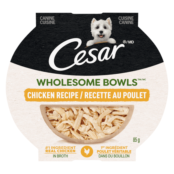 CESAR® WHOLESOME BOWLS™ Wet Dog Food,  Chicken Recipe image 1