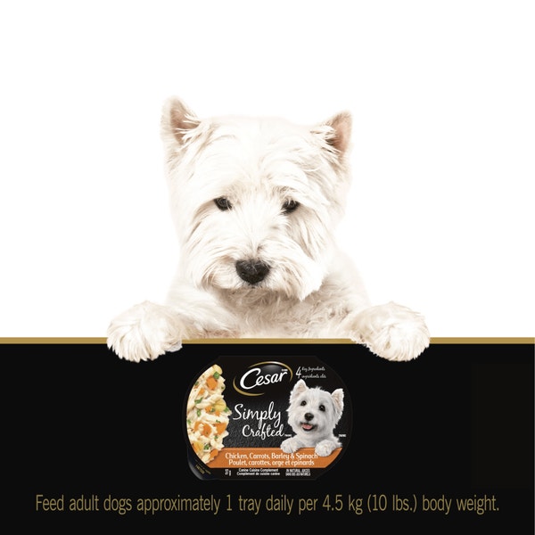 CESAR® SIMPLY CRAFTED™ Wet Dog Food, Chicken and Chicken, Carrots, Barley & Spinach Variety Pack image 4