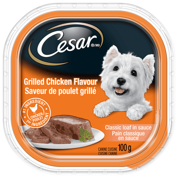 CESAR® Classic loaf in sauce Wet Dog Food, Grilled Chicken Flavour image 1