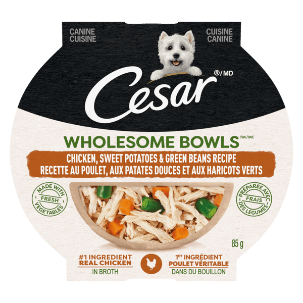 CESAR® WHOLESOME BOWLS™ Wet Dog Food, Chicken, Sweet Potatoes & Green Beans Recipe image 1