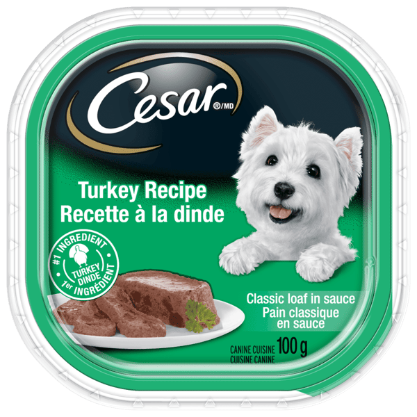 CESAR® Classic loaf in sauce Wet Dog Food, Turkey Recipe image 1