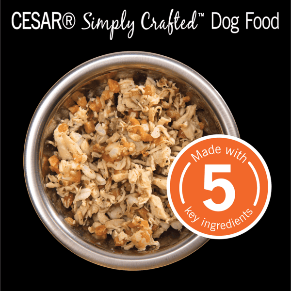 CESAR® SIMPLY CRAFTED™ Wet Dog Food, Chicken, Sweet Potato, Apple, Barley & Spinach image 2