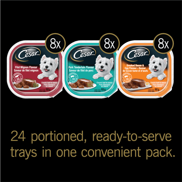 CESAR® Classic loaf in sauce Wet Dog Food, Mealtime Variety Pack, 24x100g image 2