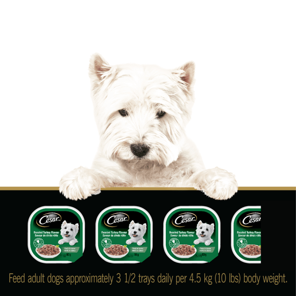 CESAR® Filets In sauce Wet Dog Food Roasted Turkey Flavour and Prime Rib Flavour Variety Pack image 3