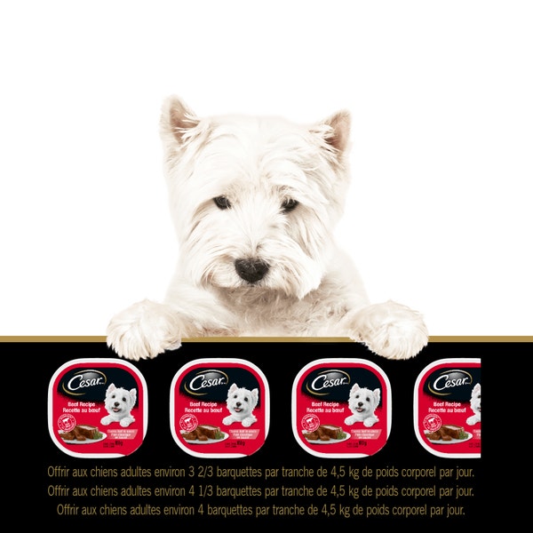 Nourriture humide pour chiens adultes CESAR(MD) pain classique en sauce en format variété Repas – saveur de filet mignon, saveur de filet de porc et saveur de bacon fumé et d’œufs image 2