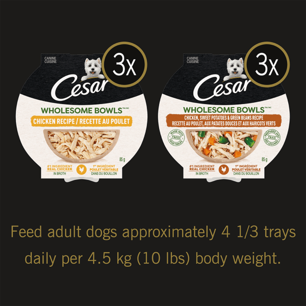 CESAR® WHOLESOME BOWLS™ Wet Dog Food, Chicken Recipe and Chicken, Sweet Potatoes & Green Beans Recipe Variety Pack image 2