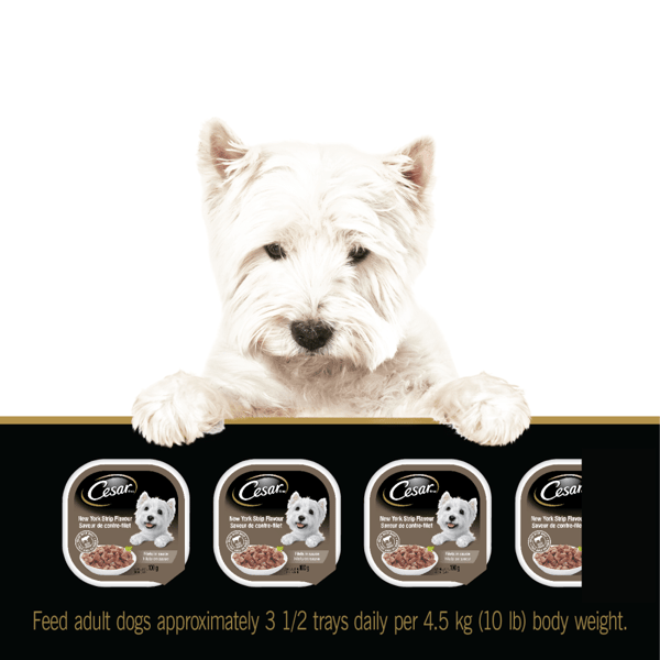 CESAR® Classic loaf in sauce and Filets in Sauce Wet Dog Food Variety Pack, 24x100g image 3