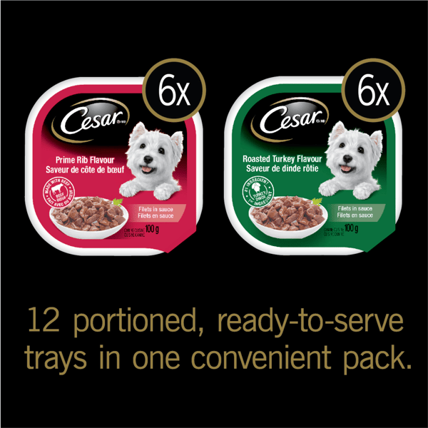 CESAR® Filets In sauce Wet Dog Food Roasted Turkey Flavour and Prime Rib Flavour Variety Pack image 2