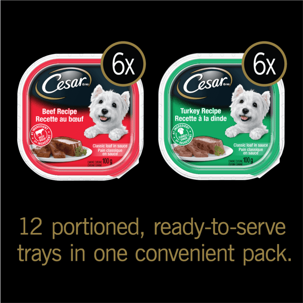 CESAR® Classic loaf in sauce Wet Dog Food, Beef Recipe, Turkey Recipe Variety Pack image 2