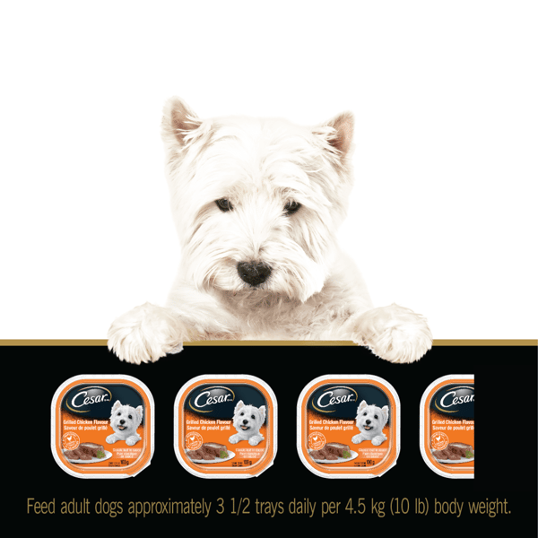 CESAR® Classic loaf in sauce Wet Dog Food, Poultry Selects Variety Pack, 24x100g image 3