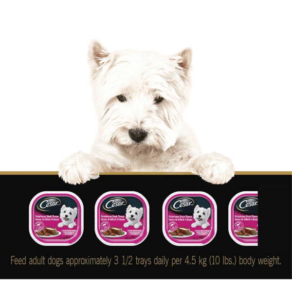 CESAR® Classic loaf in sauce Wet Dog Food, Porterhouse Steak Flavour, Grilled Chicken Flavour Variety Pack image 3
