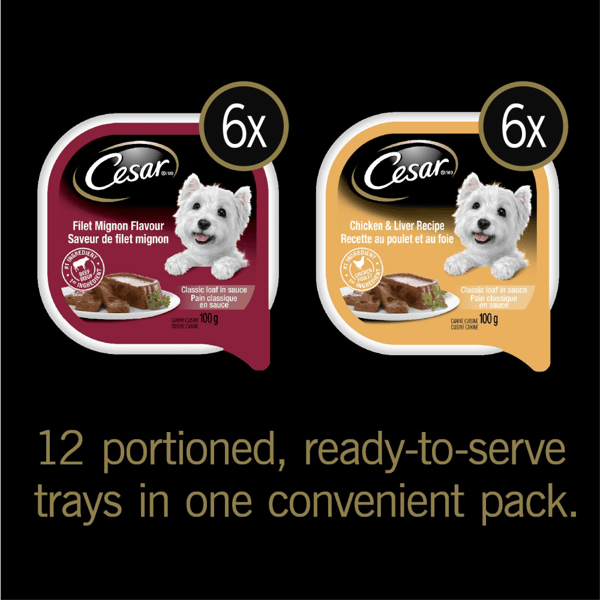 CESAR® Classic loaf in sauce Wet Dog Food, Filet Mignon Flavour, Chicken & Liver Recipe Variety Pack image 2