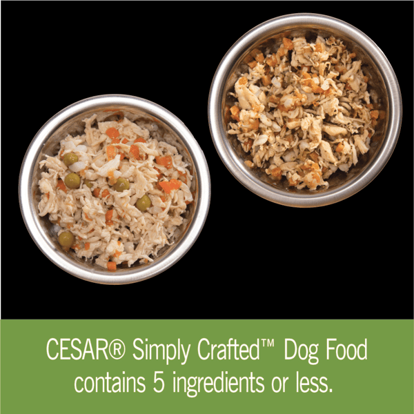 CESAR® SIMPLY CRAFTED™ Wet Dog Food, Chicken, Carrots & Green Beans and Chicken, Sweet Potato, Apple, Barley & Spinach Variety Pack, image 3