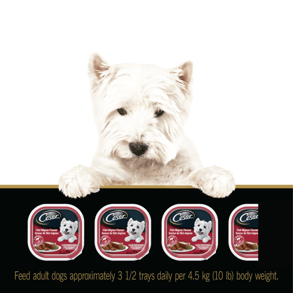 CESAR® Classic loaf in sauce Wet Dog Food, Mealtime Variety Pack, 24x100g image 3