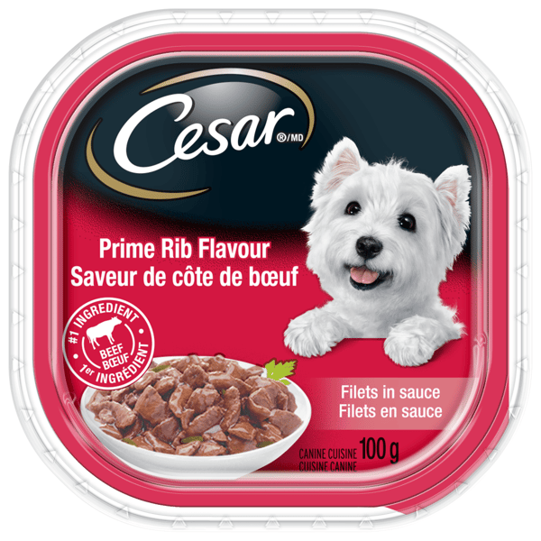 Nourriture humide pour chiens adultes CESAR(MD) filets en sauce saveur de côte de bœuf image 1