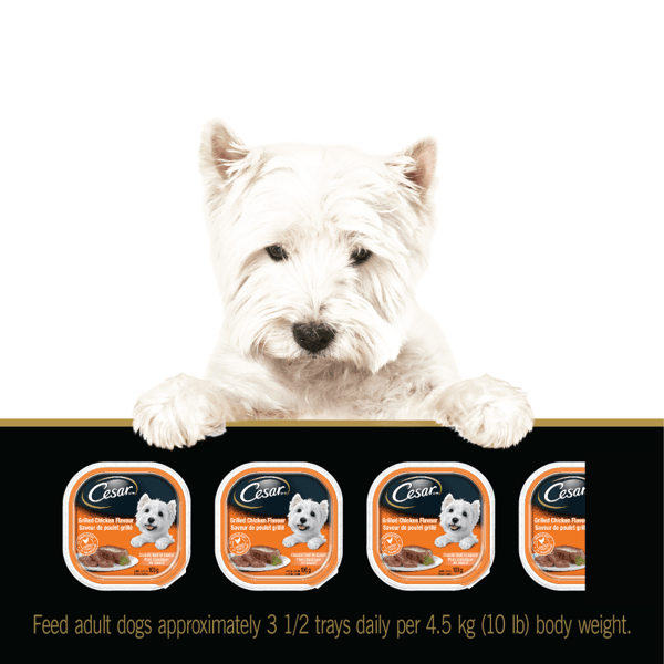 CESAR® Classic loaf in sauce Wet Dog Food, Chicken Lovers Variety Pack, 24x100g image 3