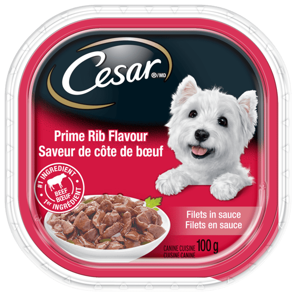 CESAR® Filets in Sauce Wet Dog Food - Prime Rib Flavour image 1