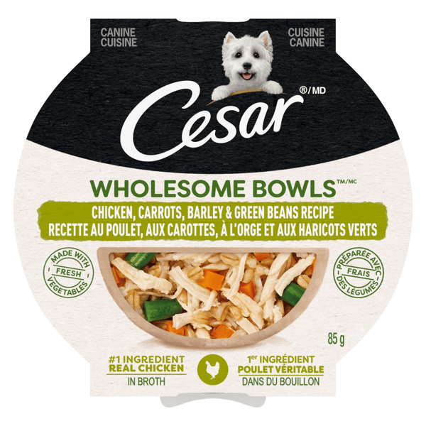 Nourriture humide pour chiens adultes CESAR(MD) WHOLESOME BOWLS(MC) recette au poulet, aux carottes, à l’orge et aux haricots verts image 1